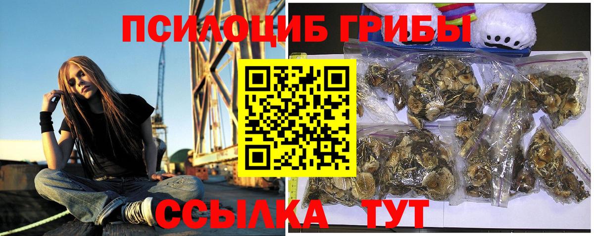 Псилоцибиновые грибы ЛСД Изобильный