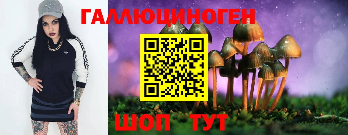 Галлюциногенные грибы GOLDEN TEACHER  Псилоцибиновые грибы мицелий  Вход с VPN  Изобильный 